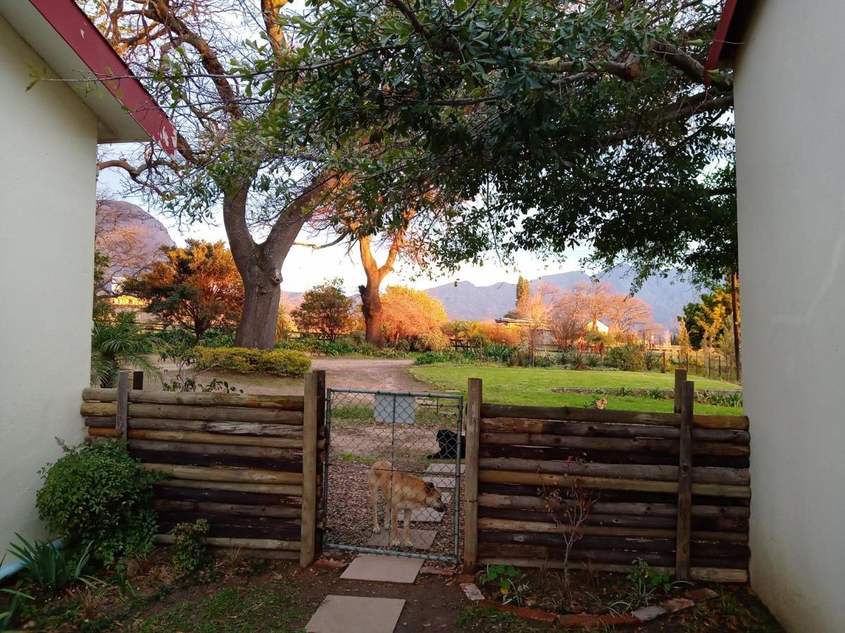 Olive And Vine Farm Cottage Franschhoek Exterior photo