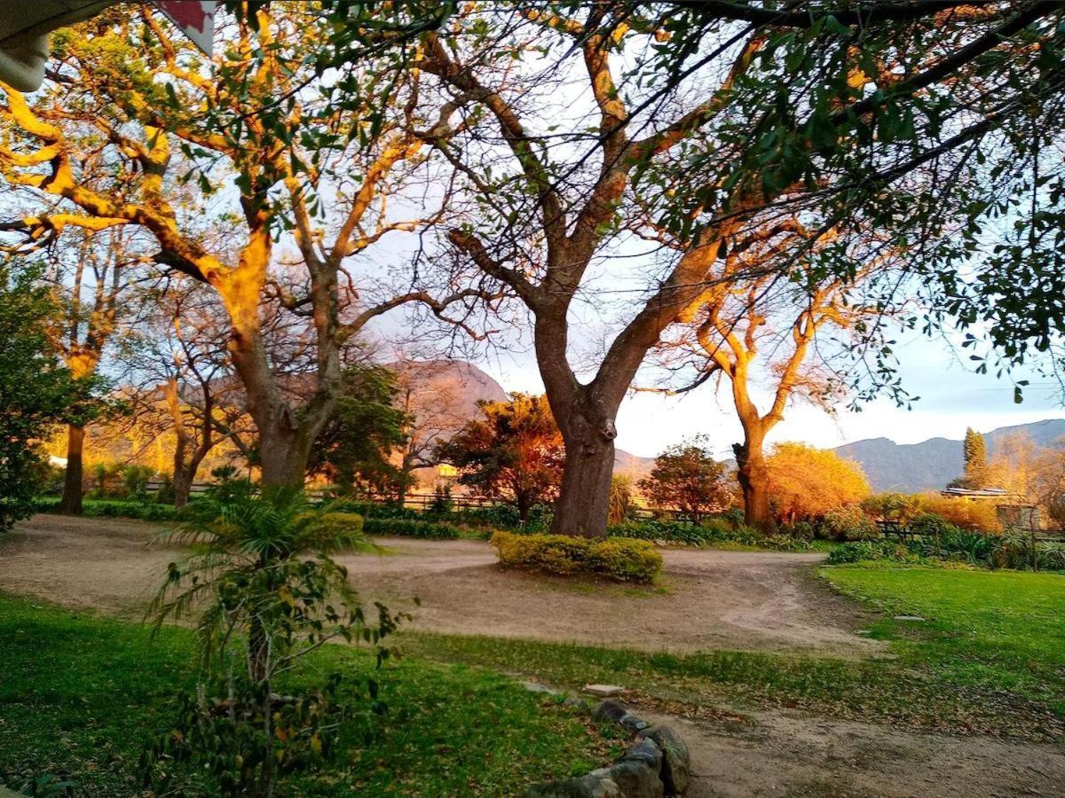 Olive And Vine Farm Cottage Franschhoek Exterior photo